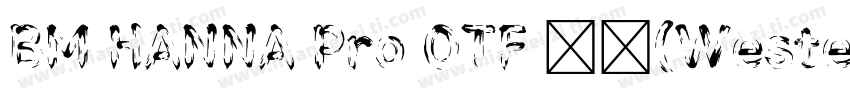 BM HANNA Pro OTF 常规(Western)字体转换
